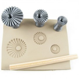 Daisies Stamp Set by Spectrum