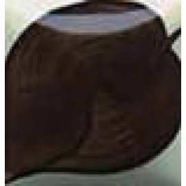 FRENCH BROWN - 1oz Duncan E-Z Stroke Under-Glaze