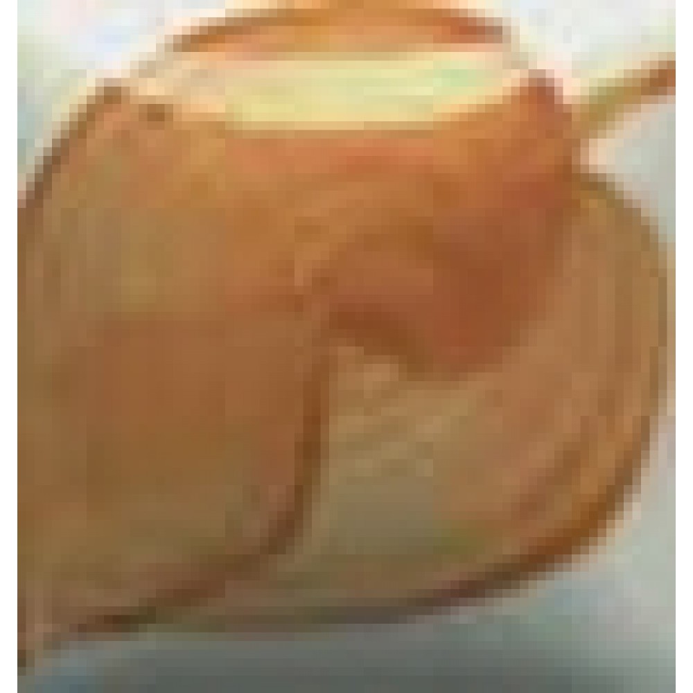 BSIENNA BROWN - 1oz Duncan E-Z Stroke Under-Glaze